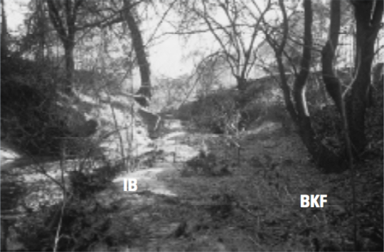 Figure 2b. Rocky Branch, Wake County, G4/F4 stream type.